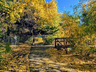  Fall on the Provo River Parkway Trail, Utah