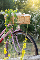 Fototapeta na wymiar Vertical view of pink retro bicycle wit wicker basket and plant hanging in the middle of the park