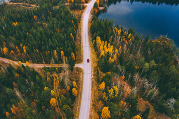 Aerial view of road with car through fall woods with green and yellow trees in Finland.