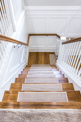 Wood stairs with carpet rug accents for grip with a white painted handrail in a new construction...