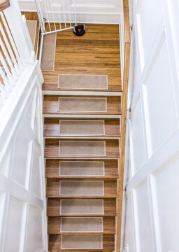 Wood stairs with carpet rug accents for grip with a white painted handrail in a new construction house