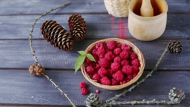 Fresh raspberries fall into a wicker basket and the gifts of the forest - cones, branches on a wooden table. Picking berries. Harvest. Taking care of nature. Video.