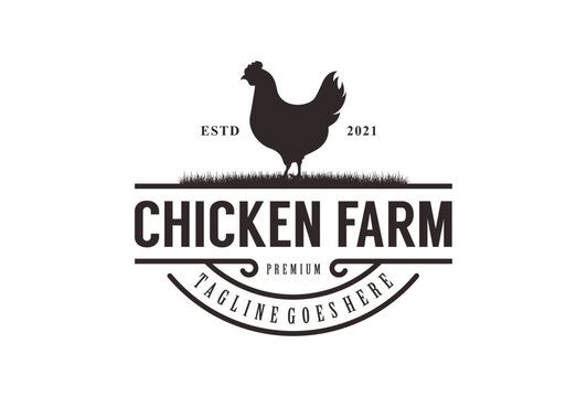 Vintage chicken farm logo vector illustration design. rooster on fence hipster logo design