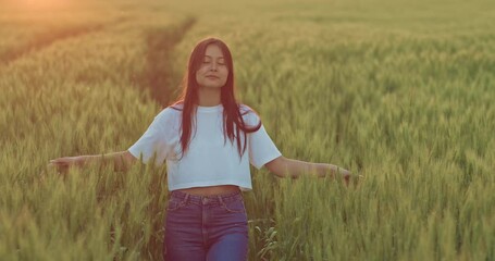 korean teen girl is walking on beautiful field and stroking spikes of rye in sunset, 4K, Prores