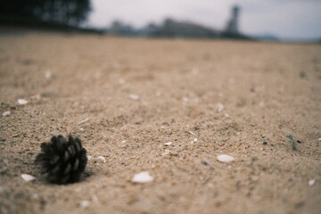 sand on the beach