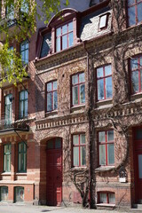 Naklejka premium Building old with tree growin red windows and doors