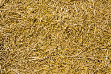 Loose straw seamless background