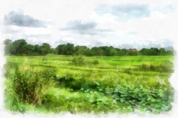 Meadow and forest landscape watercolor style illustration impressionist painting.