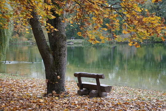Herbststimmung am Auwaldsee in Ingolstadt