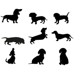 Dachshund icon vector set. Dog illustration sign collection. Home pet symbol or logo.