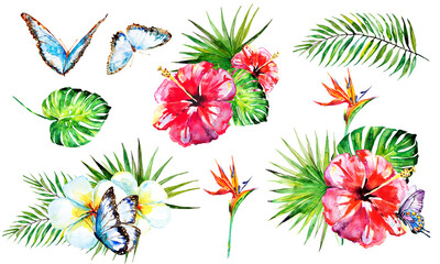 Hawaiian flowers, butterflies, watercolor, exotic plants, isolated on a white - 521026703
