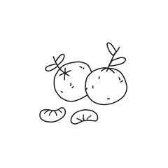 Mandarin orange outline icon. Fruit, citrus, healthy nutrition, organic food. Hand drawn line vector illustration.