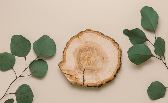Aesthetic podium with eucalyptus leaves. Display for cosmetic and product presentation, top view, flat lay. Beige and brown colors, boho style