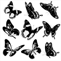 set of butterflies silhouettes - 521026998