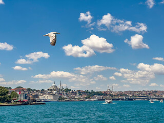 Seagull flying on blue cloudy sky in front of Galata bridge, Yeni Cami (New Mosque) and Suleymaniye...