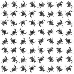 Fototapeta na wymiar Big spider motif pattern