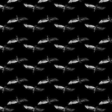 Scavengers motif pattern © danflcreativo