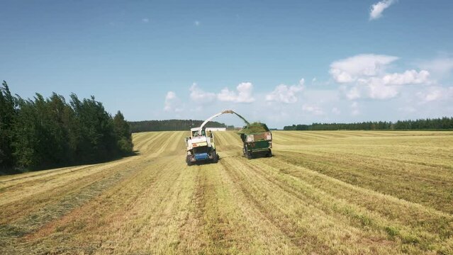 Aerial View Driving Harvester Collect Corn In Field And Pour In Tractor Trailer