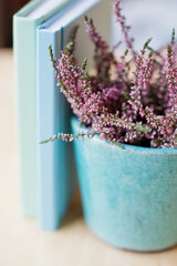 Heather in flowerpot and blue books