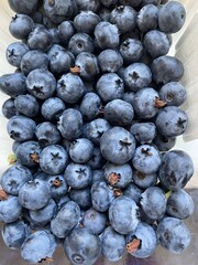 blueberries close up
