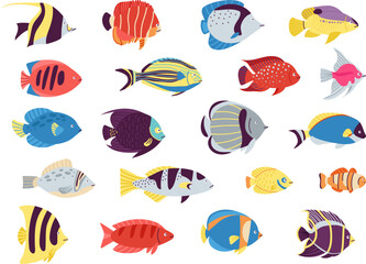 Flat tropical fish. Anemone fish, aquarium sea pet. Cartoon isolated underwater wild characters. Goldfish and exotic ocean creatures decent vector set