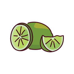 Lime and half color line icon. Pictogram for web page