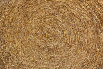 Circular haystuck background