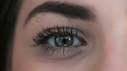 Obraz premium Macro green eyes