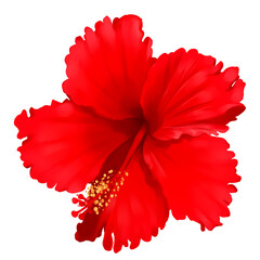 Digital Paint Red Flower. ©  janthasao