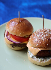 Vegetarian burger close up photo. Freshly baked sourdough buns for home made burgers. Eating healthy concept. 