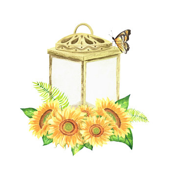 Watercolor illustration. Glass lantern with sunflowers and ferns