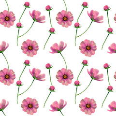 Seamless cosmos flowers pattern. Watercolor floral background with pink and violet wildflowers, stem, leaves for textile, wallpapers