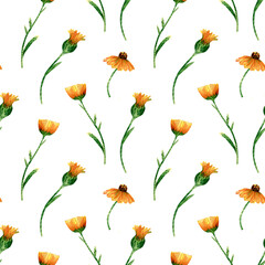 Seamless calendula flowers pattern. Watercolor background with yellow and orange wildflowers, green leaves on stem. Ornament with plants for textile, wallpapers - obrazy, fototapety, plakaty