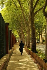 Woman biking along tree lined sidewalk in summer (Paris, France)