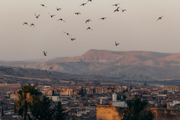 Panoramic view over Fes, Morocco