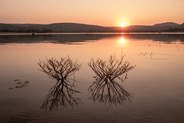 View of the water surface of the reservoir with small trees against the backdrop of the sunset