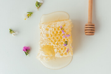 Honeycomb full of fresh honey in a white bowl. Honeycomb with honey deeper and wild flowers on the white background