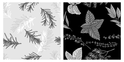 Vintage seamless pattern Black and white herbs rosemary