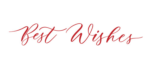 Best wishes - hand lettering inscription to winter holiday design, black and white ink calligraphy