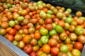 Green and red tomato display in supermarket