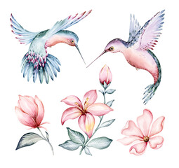 Tropical watercolor set birds hummingbird, monkey and jaguar, exotic jungle plants palm banana leaves flowers, flamingo pastel color seamless fabric background