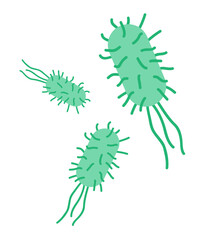 Escherichia coli (e. coli) bacteria flat icon