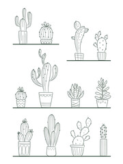 Cactus and succulents vector set. Outline cactus in a pot logo icon. Template for decorating designs and illustrations