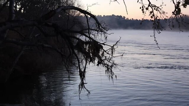 Amanecer en el rio Ebro con bruma