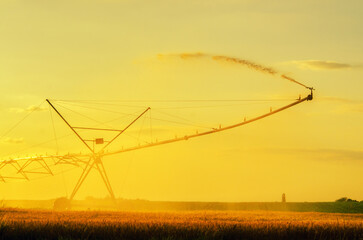 Fototapeta na wymiar Agricultural irrigation system watering wheat field in summer