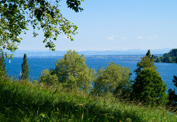 a beautiful green meadow on Flower Island Mainau with lake Constance or Bodensee and the Alps in...