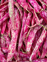 Colorful cranberry bean pods displayed in the market in Italy