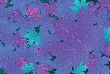 Fototapeta na wymiar Autumn colorful maple leaves background Vector template. 