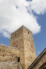 Ananuri Ancient Fortress Georgia