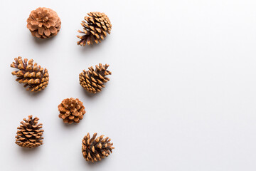 Christmas pine cones on colored paper border composition. Christmas, New Year, winter concept. Flat...